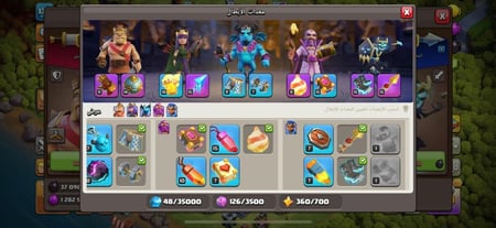 قرية تاون هول 13