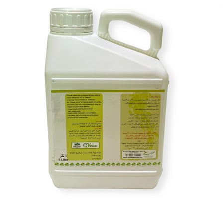 نيو بوكال بلس