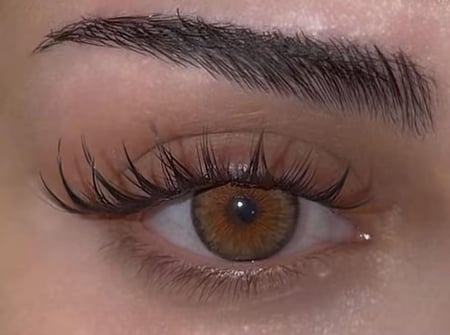 عدسة ليور نظر