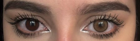 عدسات سولي زينة