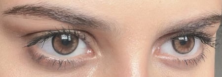 عدسة فلتر -زينة