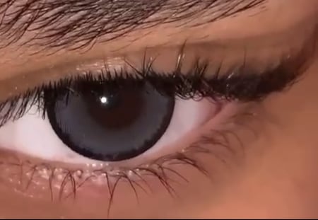 عدسات قراي زينة