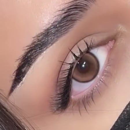 عدسة مشمشي -نظر