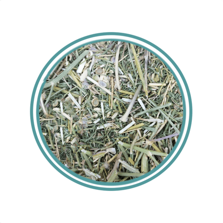 عشبة الحزا او الحزاء