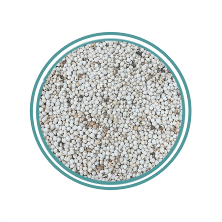 ذرة بيضاء يمني فاخرة 1كيلو حب او مطحون