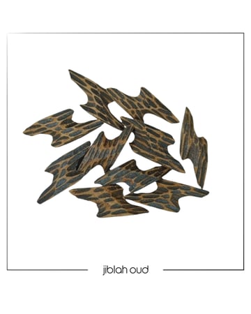 تايقر كمبودي - الملكي الاصلي بافضل سعر