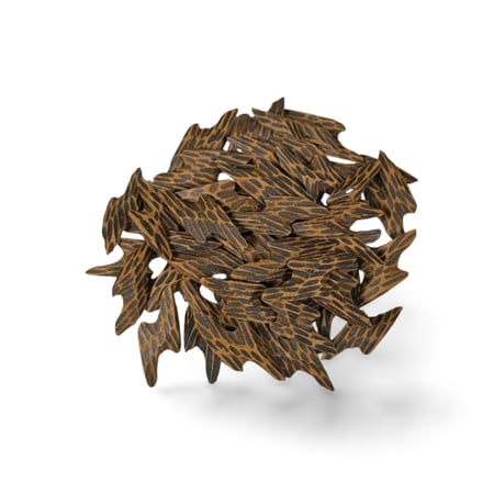 تايقر كمبودي - الملكي الاصلي بافضل سعر