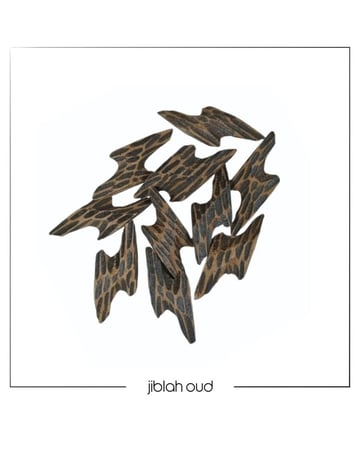 تايقر كمبودي - الملكي الاصلي بافضل سعر