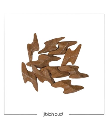 تايقر الذهبي