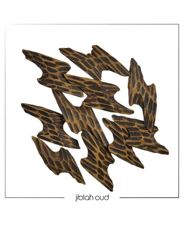 عود تايقر كمبودي - الملكي الاصلي بافضل سعر