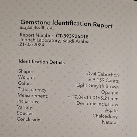 حجر عقيق مشجر طبيعي موثق ومفحوص بشهادة مختبر