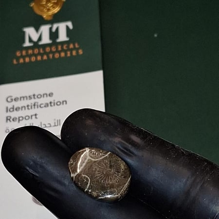 حجر عقيق طبيعي العقيق الأحفوري مفحوص و موثق بشهادة مختبر