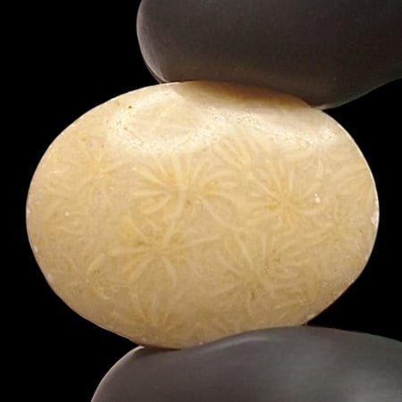 حجر عقيق مشجر طبيعي مفحوص بشهادة مختبر