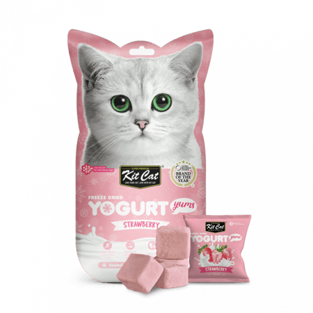 مكعبات الزبادي مع الفراولة مكافأة مجففة من كيتكات  10×1غ