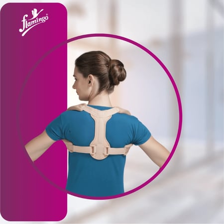 دعامة الترقوة (الكتف) Flamingo