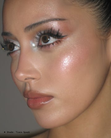 Highlighter