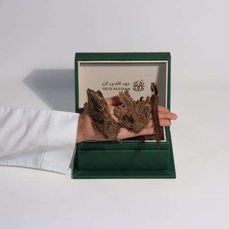 كمبودي صفائح VIP