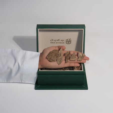 سيلاني ميني دبل سوبر