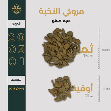 مروكي النخبة