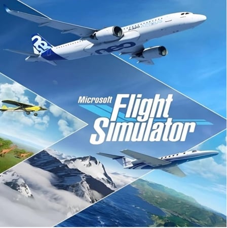 محاكي الطيران