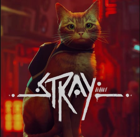 لعبة القطة Stray