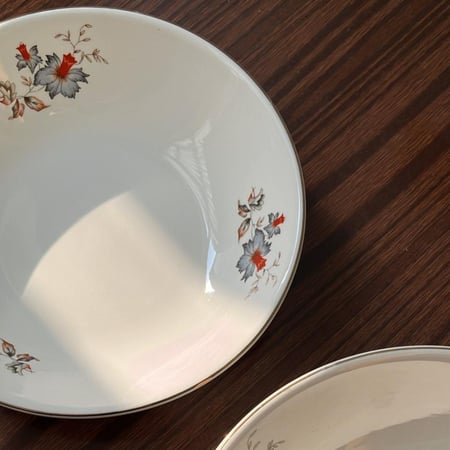 صحون خزف صيني فنتج