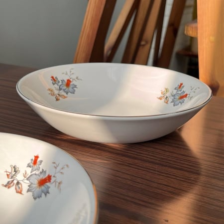 صحون خزف صيني فنتج