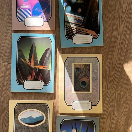 دفاتر فنتج صناعة البرازيل