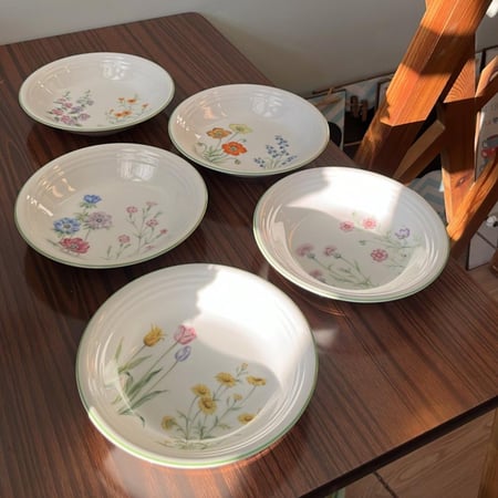 مجموعة من 5 صحون بورسلين فنتج | ماركة "تاتشيكيتشي" (Tachikichi) اليابانية