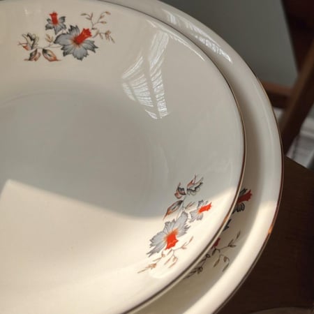 صحون خزف صيني فنتج