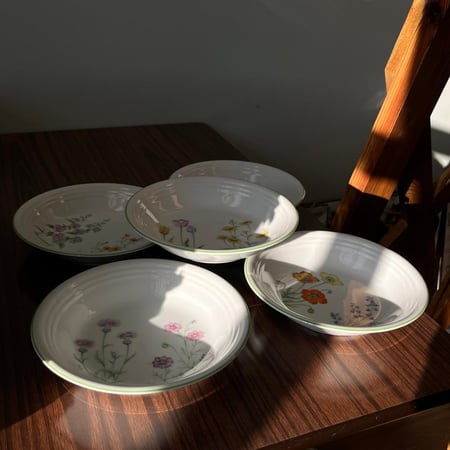 مجموعة من 5 صحون بورسلين فنتج | ماركة "تاتشيكيتشي" (Tachikichi) اليابانية