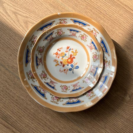 صحون صينية فنتج