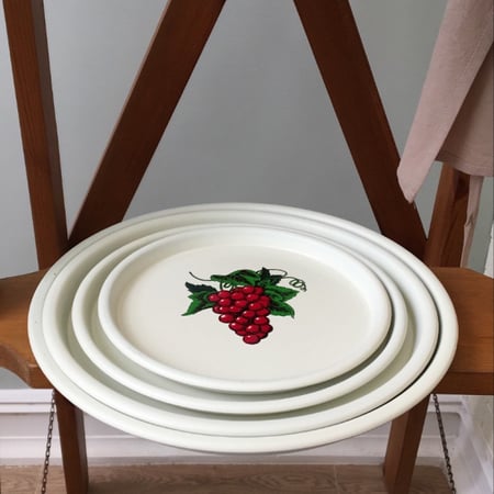 طقم من 4 صواني فنتج