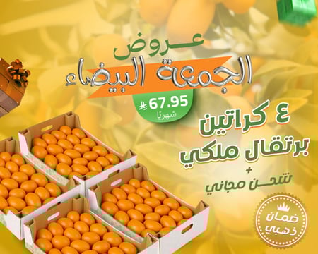 مانجو ستيشن