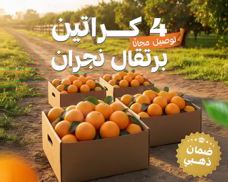 مانجو ستيشن برتقال نجران