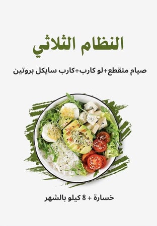 النظام الثلاثي " خطة بديل التكميم "  تسليم فوري