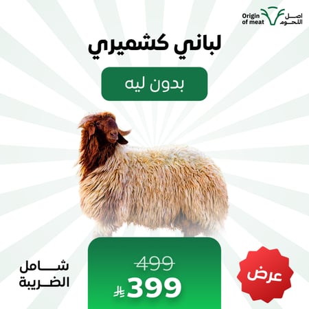 لباني كشميري (بدون ليه)