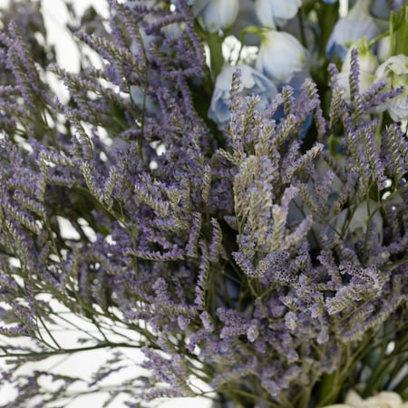 فازة تحفة الروسكوس الإيطالي