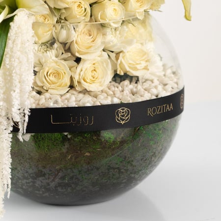 فازة وادي الريان