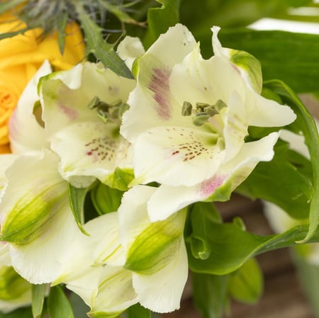 باقة ورد اصفر وابيض