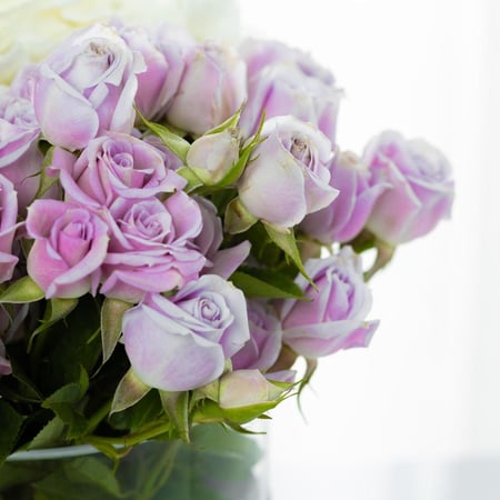 مزهرية انفاس الفجر الاولى