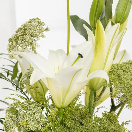 فازة ايمي وانفاس كازبلانكا