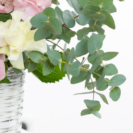 سلة موف سيريناد