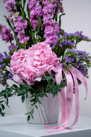 فازة صوت الفراشة