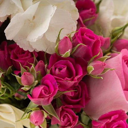 مزهرية أناقة الورد مع كريب دولسي من هانوفيرين