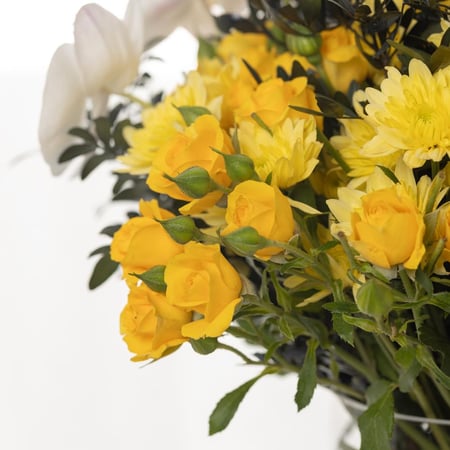 فازة ميلودي الكرز