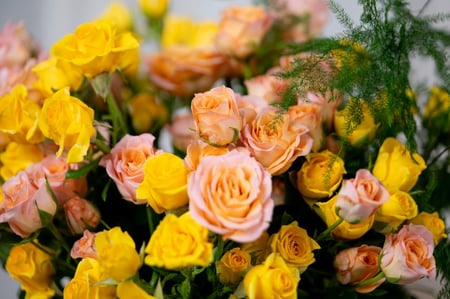 فازة حجر مزهر