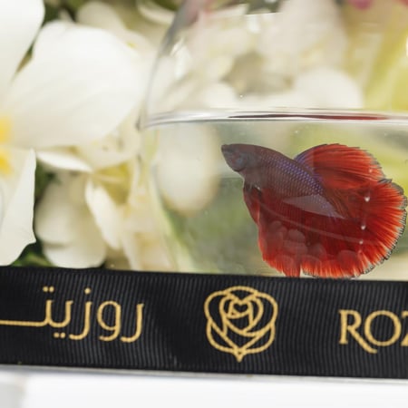 بوكس كرة السحر الأبيض