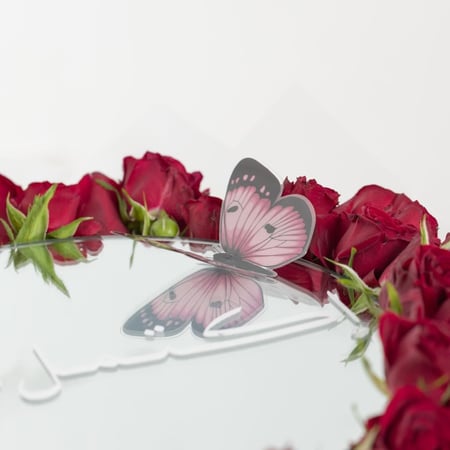 فراشة الكرملين