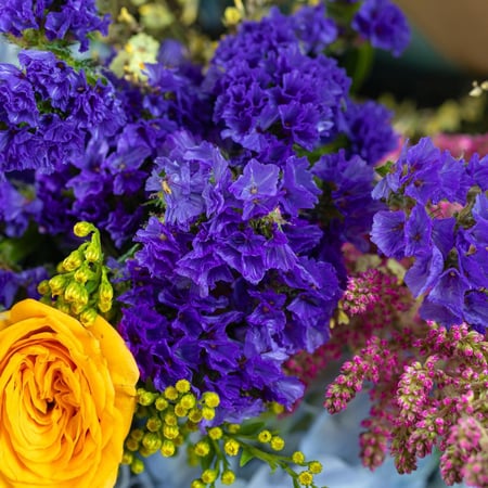 باقة سحر الالوان في حضن الغيوم